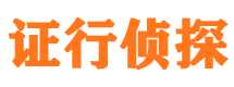 陵县市调查公司